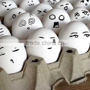 High Efficiency Egg Carton Tray Making Machine thumbnail-1