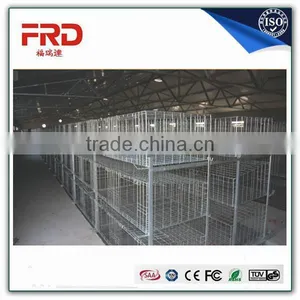 FRD Wholesale Cheap Welded Wire Poultry Farm Layer Chicken Egg Cages(A Type & H Type Layer Chicken Cage) /design Layer Chicken c thumbnail-2