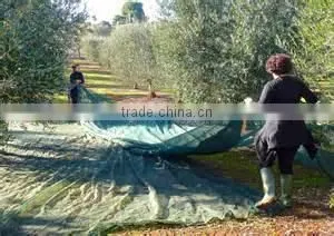 UV Treated Olive Harvest Net thumbnail-5