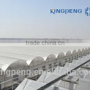 Agricultural Growing Greenhouse thumbnail-3