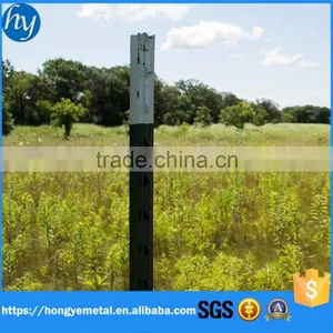 China Factory Vineyard Metal Trellis Post Fence Post Caps for Sale thumbnail-2