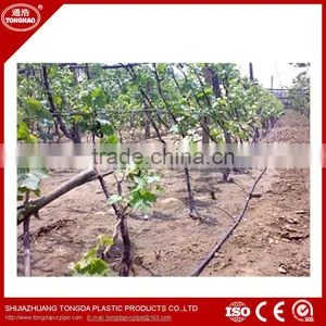 PE Material Drip Irrigation Pipe for Farm and Agriculture thumbnail-6