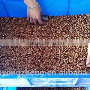 Cat Food 2.5--2.8 cm Freeze Dried Mealworms;Yongzheng Dried Mealworms For Cat thumbnail-4
