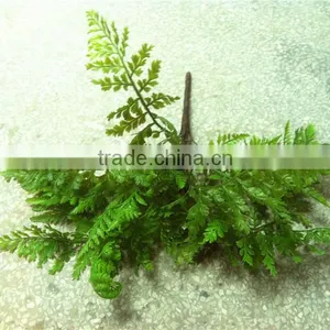 Home and Outdoor Garden Edging Christmas Decoration 60cm or 24inches Height Artificial Small Grass for Green Wall E04 1006 thumbnail-1