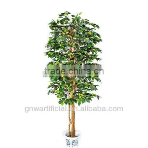 GNW G75 Nurseries Plants and Trees Hot Sale in China 2014 Artificial Home Plastic Plant thumbnail-2