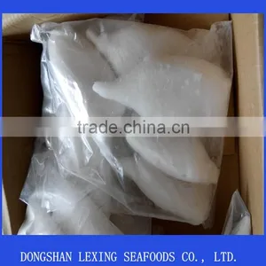 Frozen Tordarodes and Argentina Squid Tube U10,U5 thumbnail-1