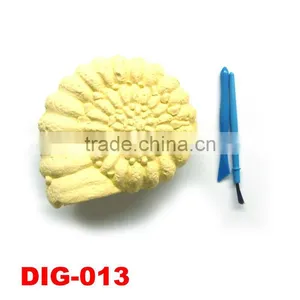 Educational Dinosaur Excavation Kits Toy For Kids thumbnail-1