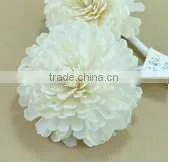 Xiamen Apple Natural Sola Flower Diffuser / Diffuser / Home Decoration thumbnail-1