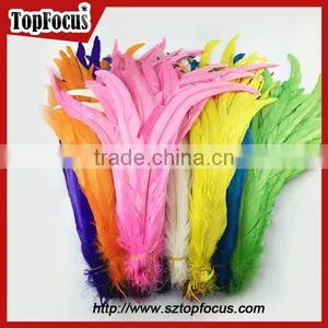 Dyed Color Big Long Natural Grizzly Rooster Feathers for Sale thumbnail-1