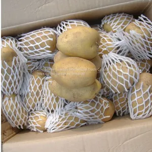 Fresh Potato thumbnail-1