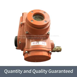 Intelligent Angle Stroke Electric Actuator QC-25 Fine Small Valve Electric Device thumbnail-4
