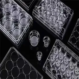Wholesale Price General Purpose Polystyrene UAE Plastic Raw Material GPPS for Sale thumbnail-3