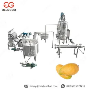 Automatic Mango/Pineapple Juice Machine Mango Pulp Production Processing Line thumbnail-3