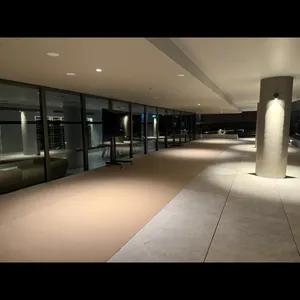 Carpet thumbnail-2