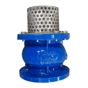 Factory Direct Sales of High-quality Flange Type Bottom Valve With Filter Screen thumbnail-1