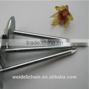 Twisted Shank Umbrella Roofing Nails thumbnail-4