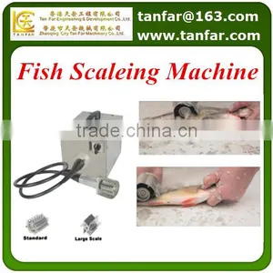 Fish Scaleing Machine KT-S thumbnail-1