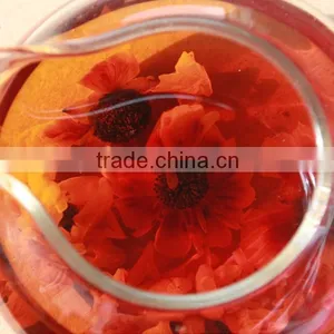 Hot Selling Detox Tea China Dry Flower Buds Increase Immunity and Anti Cancer Herbal Tea Kun Lun Xue ju Chrysanthemum Tea thumbnail-5