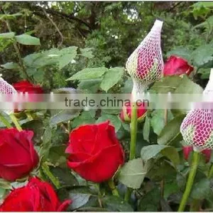 Plastic Flower Bud Net for Flowers thumbnail-4