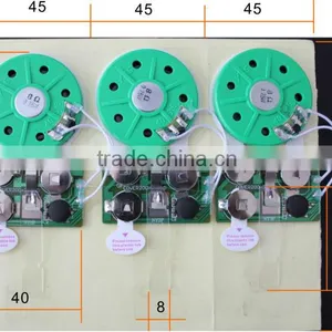 Hotsale Slide Switch Sound Module Voice Chip for Greeting Card and Bootlet thumbnail-1