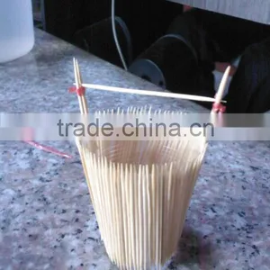 Excellent Barbeque Skewers thumbnail-1