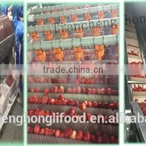 2015 New Crop IQF Strawberry thumbnail-2