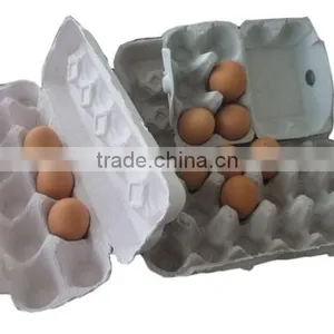 Molded Fiber Product Machine thumbnail-6