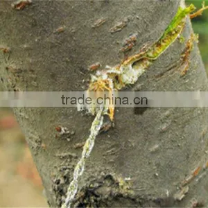 Emergency Survival Gear Outdoor Plastic Steel Wire Saw Ring Scroll Travel Camping Hiking Hunting Climbing Survival Tool thumbnail-4
