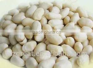 Supply Chinese Blanched Peanut Kernels Round for Sales thumbnail-1