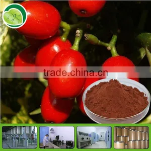 Ning Xia Wolfberry Extract Wolfberry Extract thumbnail-1