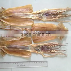 Dried Illex Squid thumbnail-1
