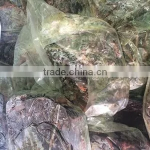 Frozen Tuna Black Meat Fresh Dark Meat for Sale thumbnail-3