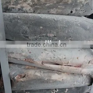 Seafrozen Tetrapterus Audax Fresh Swordfish HGT thumbnail-1
