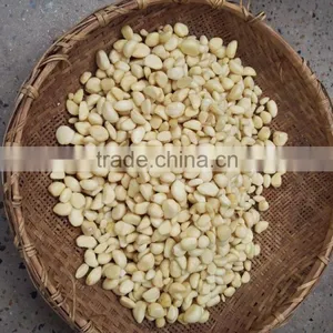 Chain Manufactured CE Certificated High Quality Belt Type Garlic Sorting Machine thumbnail-6