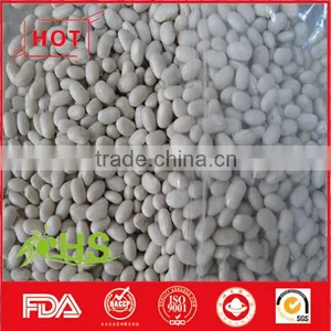 Chinese White Kidney Beans of Wholesale Price thumbnail-6