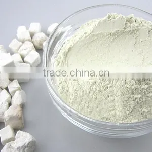 Food Ingredient Good Quality Natural Poria Cocos Extract Powder , Pachyme Flour thumbnail-2
