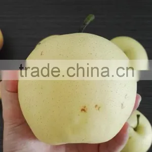 Fruits South Africa Pear Fruit thumbnail-2