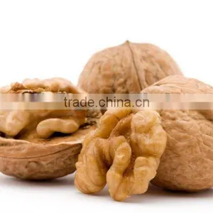 2012 Dried Walnut--hot Product thumbnail-1