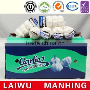 Hot Sale Chinese Normal White Fresh Garlic Supplier Price thumbnail-1
