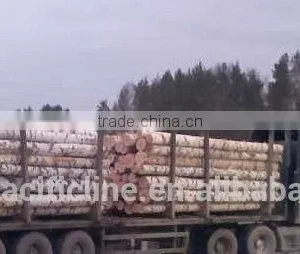 HARDWOOD / LARCH WOOD LOGS TIMBER RUSSIAN ORIGIN thumbnail-3