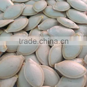 Snow White Pumpkin Seeds in Shell thumbnail-1