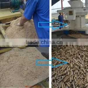 [ROTEX MASTER] Discounting Efb Fiber/oil Palm Fiber Pellet Machine/palm Fiber Pellet Making Machine thumbnail-4