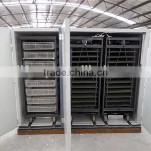 Best Price Fully Automatic Hatcher Machine for Sale thumbnail-2