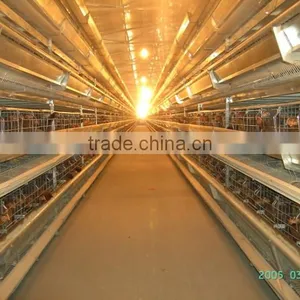 Poultry Farm for Hens thumbnail-1