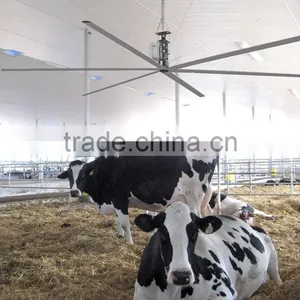 China Energy Saving Farm Shop Large HVLS Ceiling Fans Price thumbnail-1