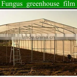 On Sale!!1 2014 High Quality Plastic Oyster Mushroom Greenhouse Film for Selling thumbnail-1