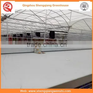 Agriculture Equipment Multi-span 7.2m PE Film Agriculture Greenhouse for Sale thumbnail-4
