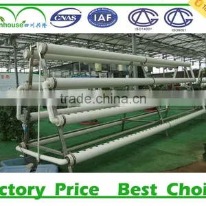 Double Inflatable Film Prefabricated Greenhouse With Hydroponic System thumbnail-2