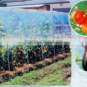 Green House,garden Greenhouse,flower House(SB10-18-A) thumbnail-1