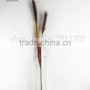 High Inimation Food Artificial Rices Plants thumbnail-6